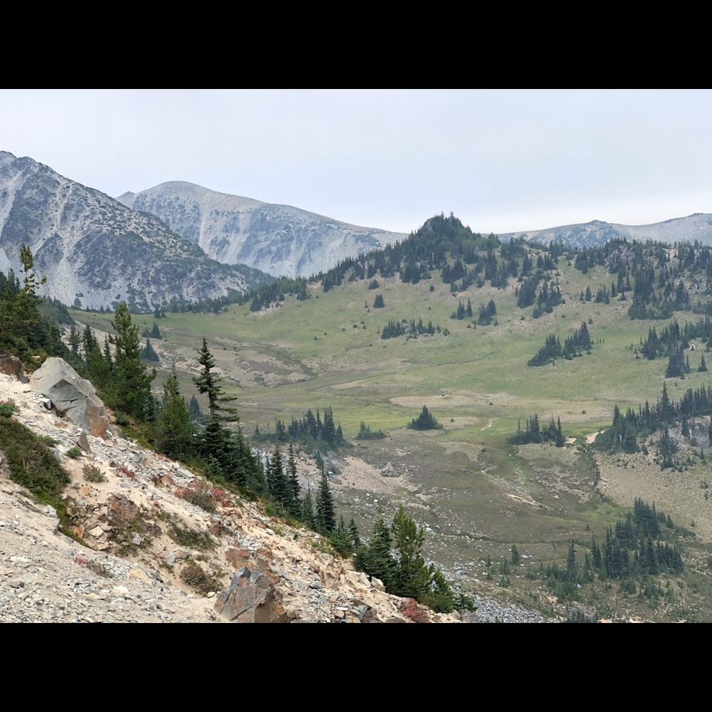 Meet your Posher, Daddy